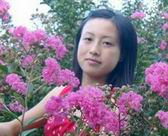 稍等图片打开中…